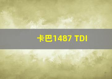 卡巴1487 TDI